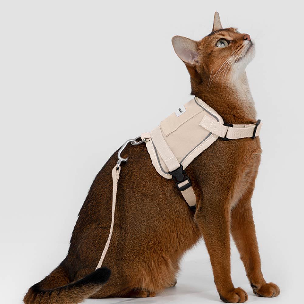 山谷貓貓馬甲胸背牽繩組(四色)